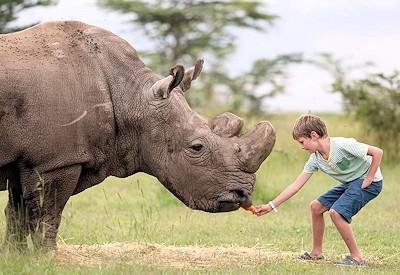 Ol Pejeta Bush Camp Family Friendly
