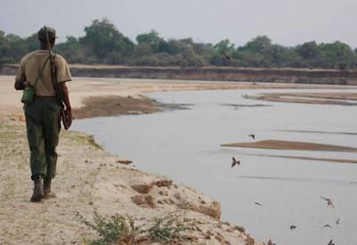 Malawi Bush and Beach Safari
