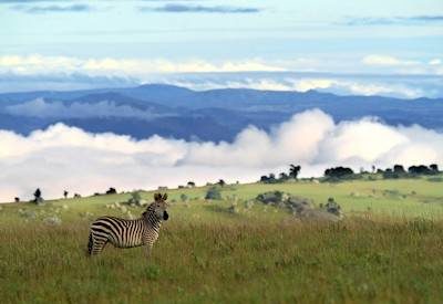 Southern Malawi and Luangwa Safari