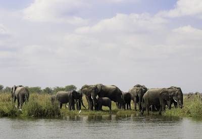 Southern Malawi and Luangwa Safari