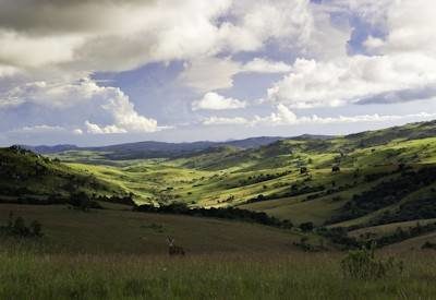 Waters Edge Lofty Hills