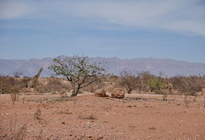 Damaraland