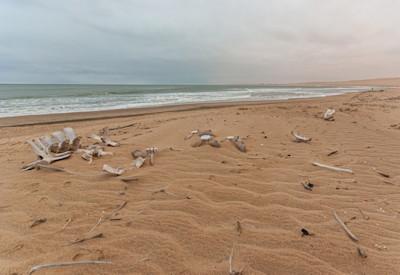 Skeleton Coast National Park