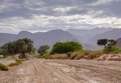 Hoanib River Valley Photos