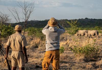 Ongava rhino walking safaris and game drives