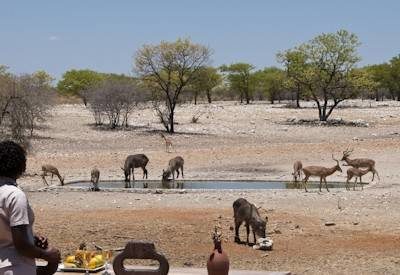Anderssons Camp