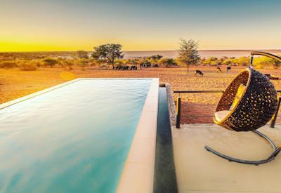 Infinity pool in the bagatelle kalahari game ranch