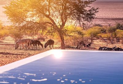 A fantastic safari experience in the Kalahari