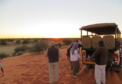 Game drives and sunset drinks in the Kalahari dunes