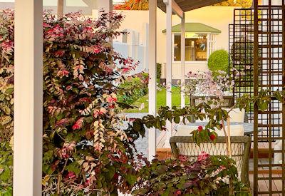A terrace with outdoor furniture surrounded by a landscaped garden