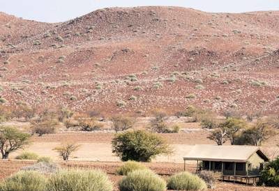 Desert Rhino Camp