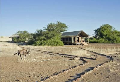 Wildlife and remote location