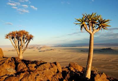 Namib Desert and the desert horses