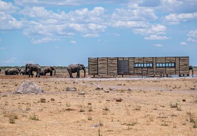 Nearby Etosha National Park with a rich cultural heritage