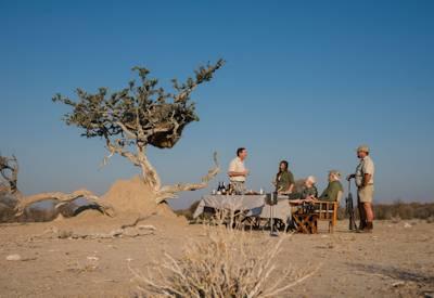 Etosha National Park safaris