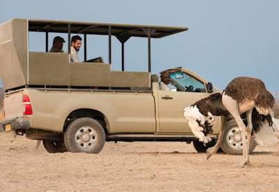 Mountain Lodge 4x4 safaris