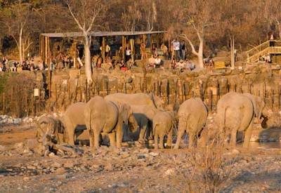 Halali waterhole