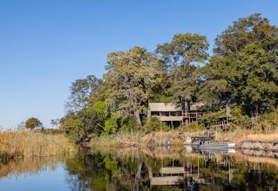 Tree canopies with birds chirping in this beautiful wilderness