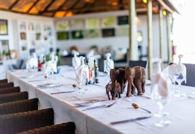 Dining area surrounded by a mangosteen forest
