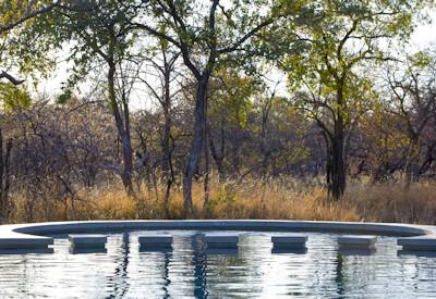 Swimming pool overlooking the Mushara Private Reserve