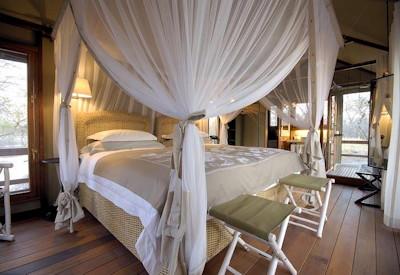 Outpost safari suites with mini bar