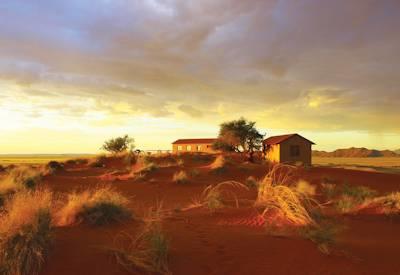 Namib Desert star beds