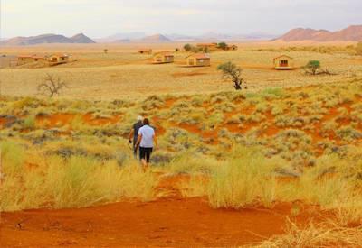 Namib walking safari options