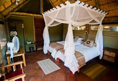 Thatched chalets