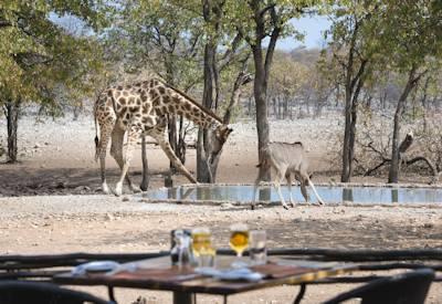Ongava Tented Camp