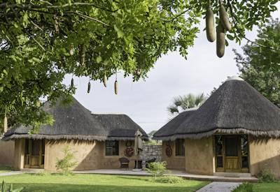 Thatched safari chalets and family units