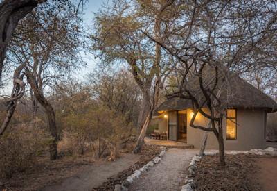 Onguma Forest bush suites