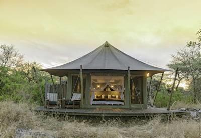 Wild tented safari camp