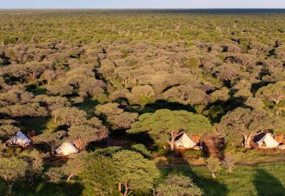 Trails Camp with a max of eight guests