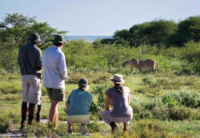 Enjoy a early morning walk