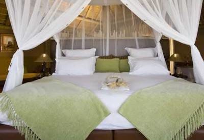 Safari suites