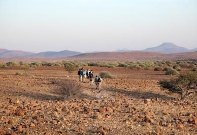 Palmwag safari activities