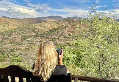 Bird spotting is excellent year round