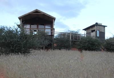 The main restaurant and dining area