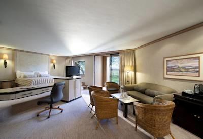 Luxury suite