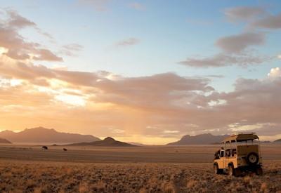 Amazing Wolwedans desert game drives