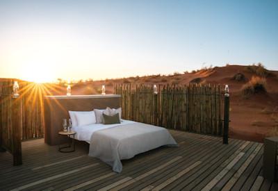 Amazing Wolwedans desert game drives