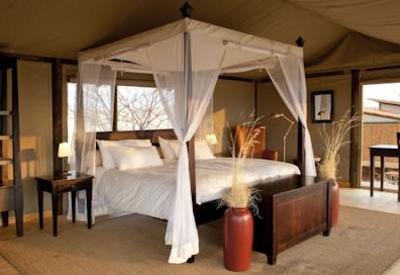 Classic tented suites