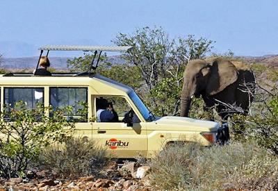 Cheetah Conservation Fund Safari