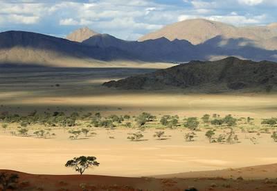 Discover Kaokoland Safari