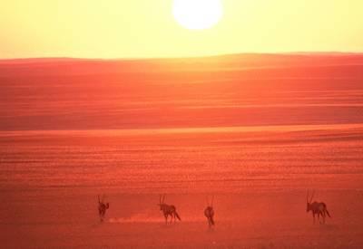 #Khoadi Conservancy