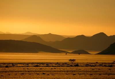 Southern Namib experience