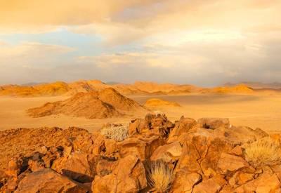 Namib Desert safari