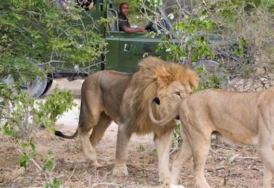 Etosha National Park