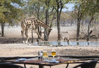 Etosha National park