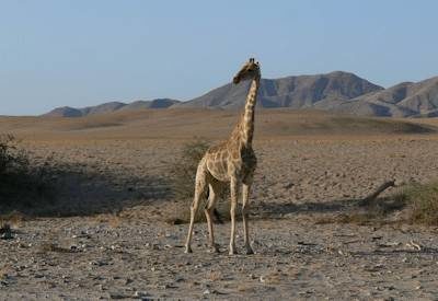Kunene River region of Namibia